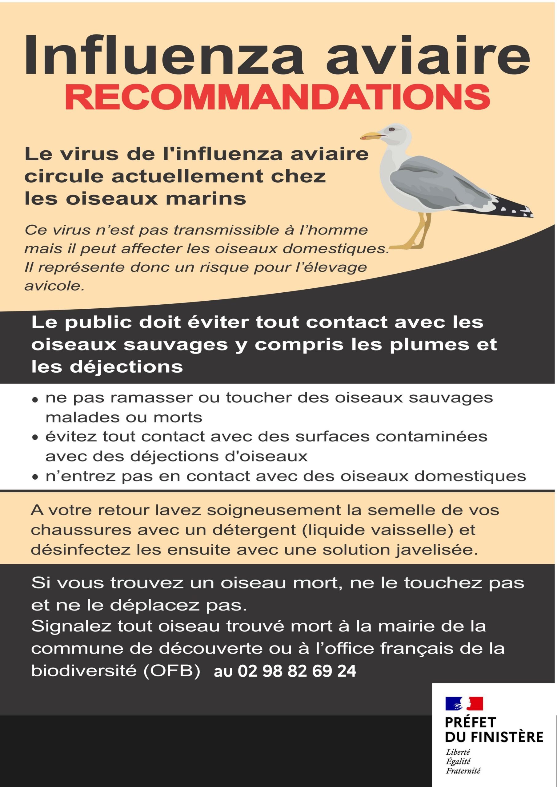 Influenza aviaire et poulaillers des particuliers