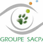 Pose d’une cage de capture de chats sauvages